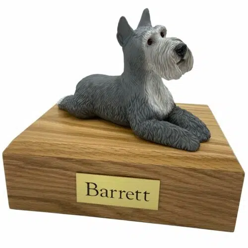 Schnauzer, gray, laying, ears up, dog memorial cremation funeral urn