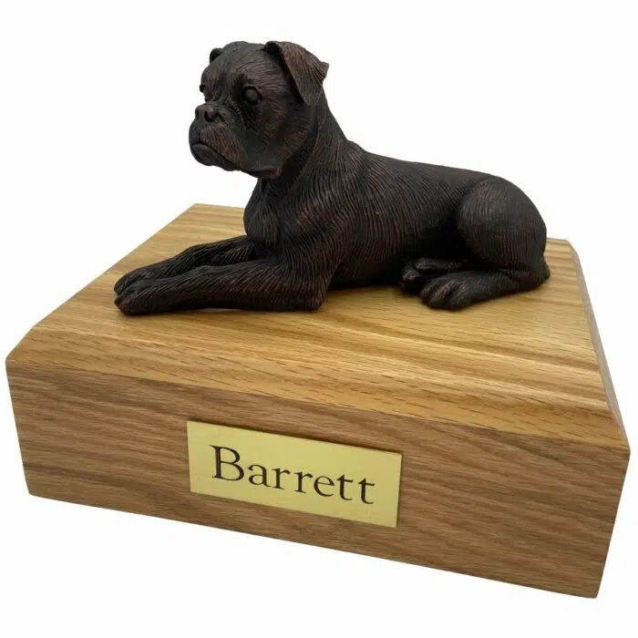 Boxer, bronze look, ears down, dog memorial cremation funeral urn