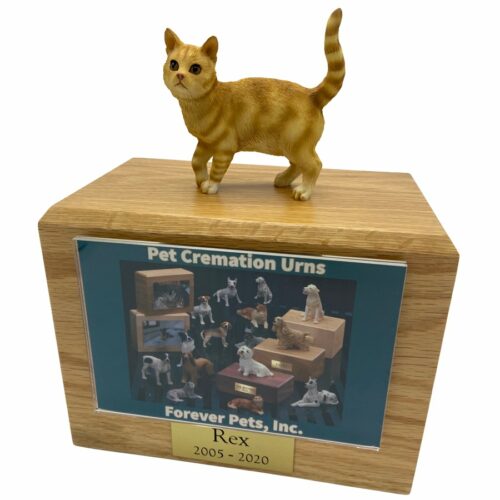 Orange standing shorthair tabby cat photo holder memorial cremation urn