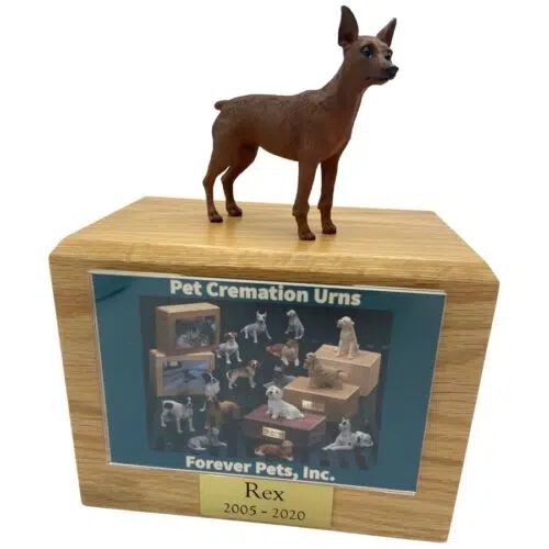 Red/brown miniature doberman pinscher dog photo holder memorial cremation urn