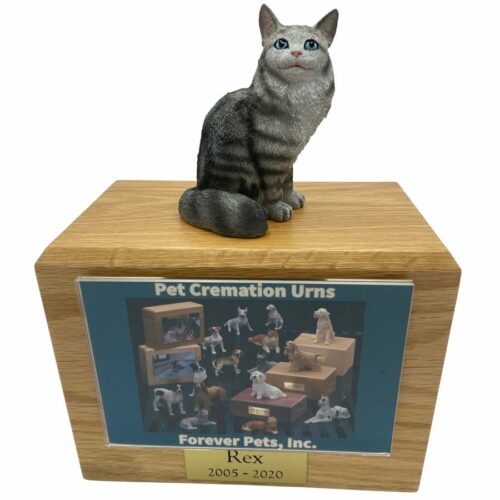 Silver Maine Coon Tabby Cat photo holder memorial cremation urn