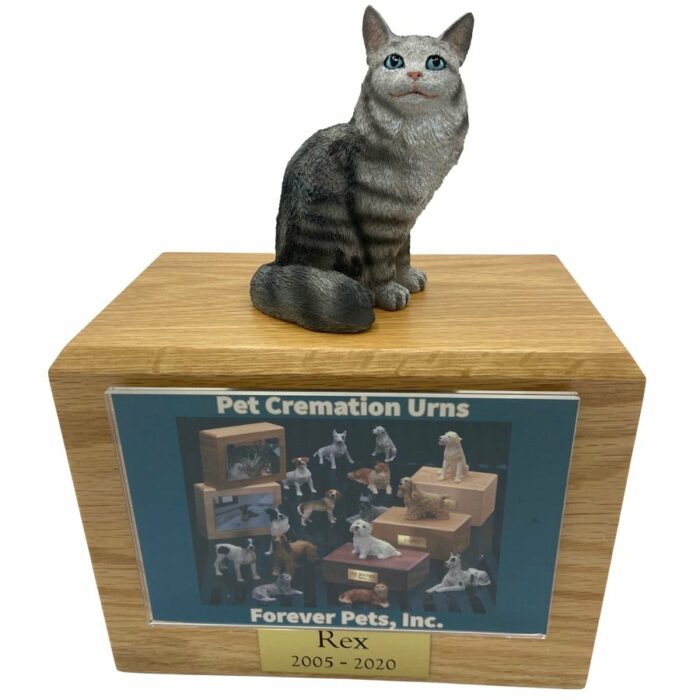 Silver Maine Coon Tabby Cat photo holder memorial cremation urn
