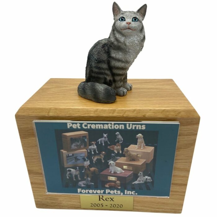 Silver Maine Coon Tabby Cat photo holder memorial cremation urn