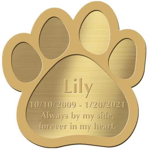 Engraved acrylic memorial urn plate, brass finish, paw print shape, block font