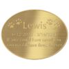 Engraved acrylic memorial urn plate, brass finish, oval shape, gold text, block font