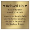 Engraved acrylic memorial urn plate, brass finish, square shape, block font