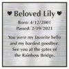 Engraved acrylic memorial urn plate, silver finish, square shape, block font