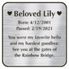 Engraved acrylic memorial urn plate, silver finish, square shape, rounded corners, block font