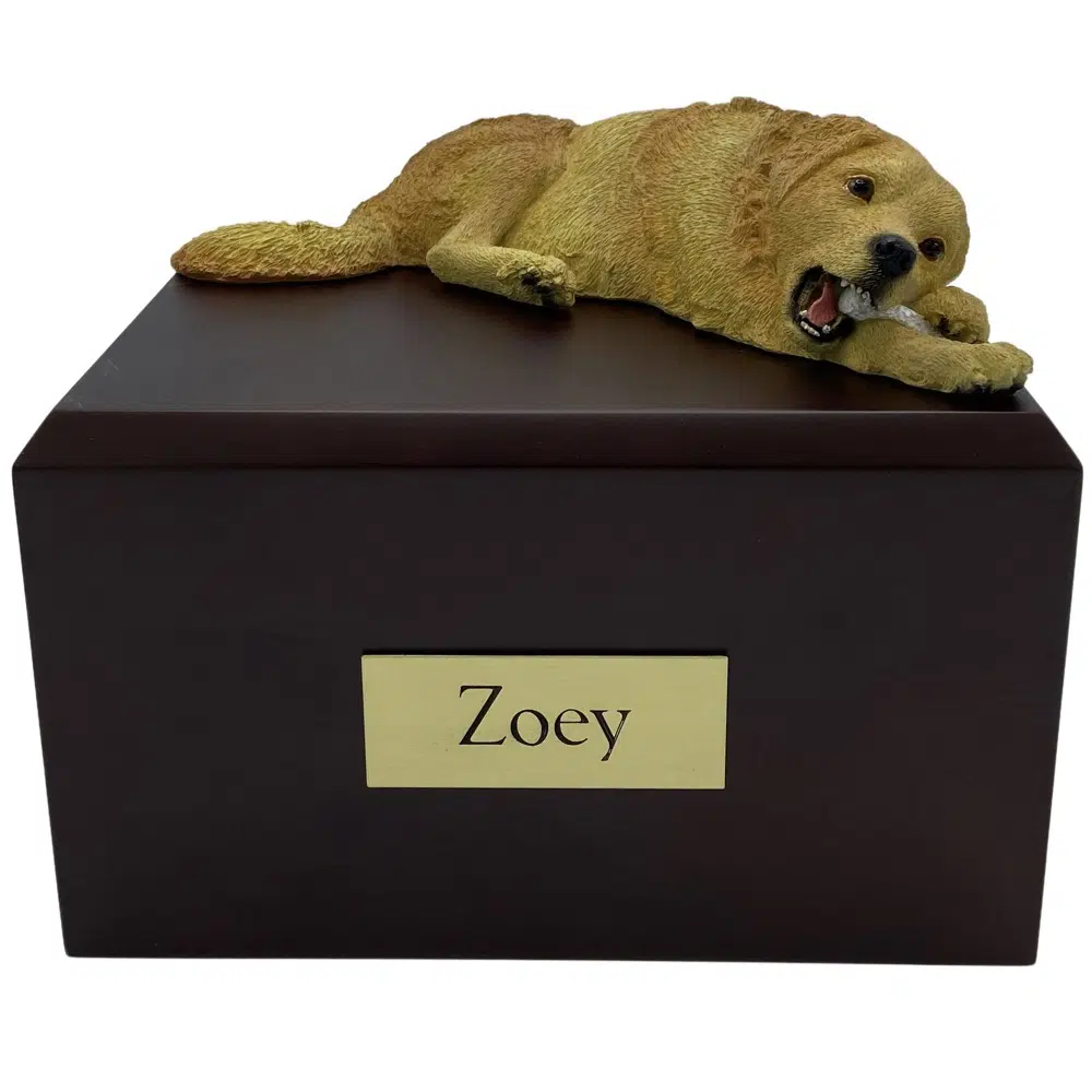 Golden Retriever cremation figurine urn w wooden storage box
