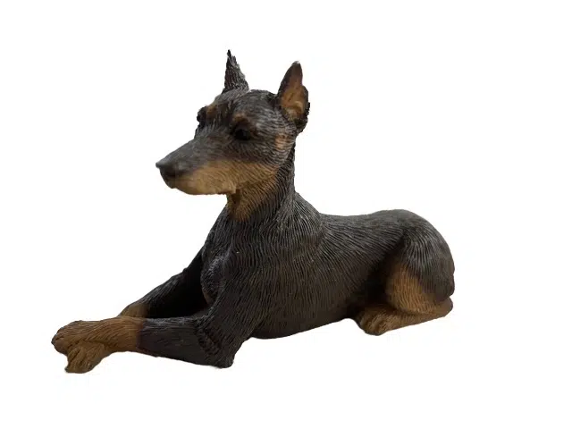Dog Doberman Pinscher Red ears up Figurine Only