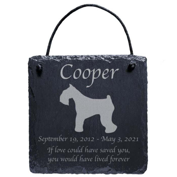 Engraved silhouette memorial slate plaque, cord, Miniature Schnauzer 1