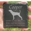 Engraved silhouette memorial slate plaque, American English Redtick Coonhound 1