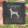 Engraved silhouette memorial slate plaque, grass, Doberman Pinscher 1