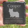 Engraved silhouette memorial slate plaque, grass, Norwich Terrier 1