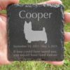 Engraved silhouette memorial slate plaque, grass, Silky Terrier 1