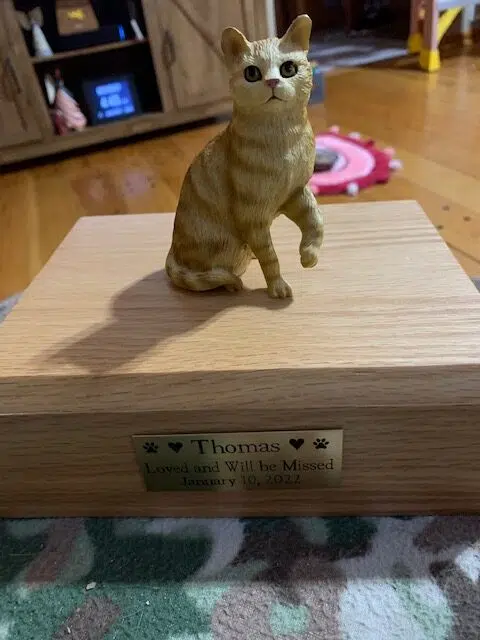 orange tabby urn