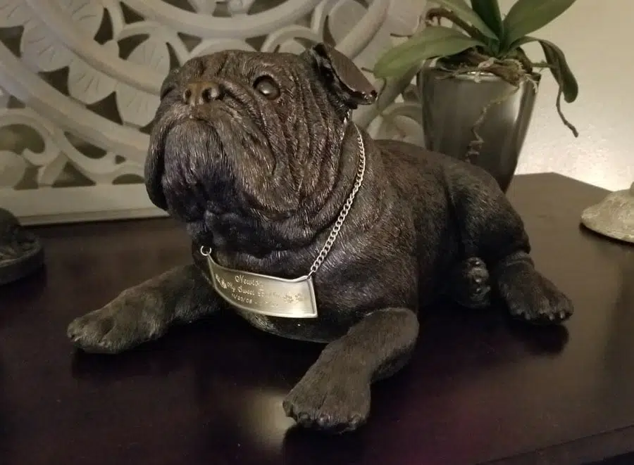 Shadowcast Bulldog Cremation urn with silver contoured plaque