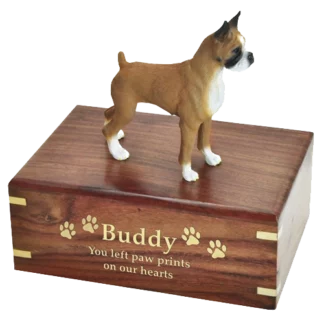 Boxer, brown & white, cropped ears dog figurine wood memorial cremation urn, engraved wood, gold fill