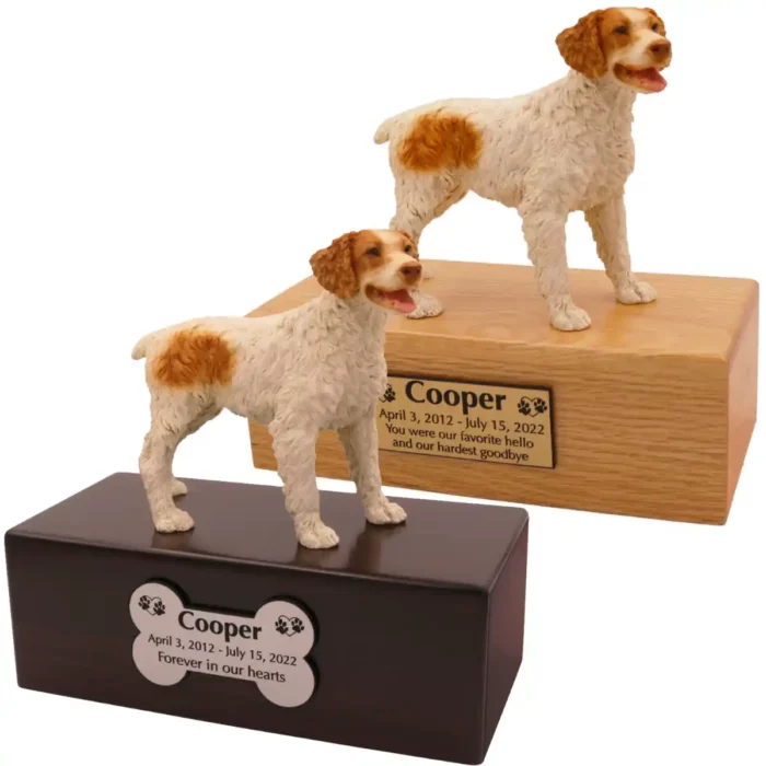 Budget dog figurine cremation urn, oak or walnut, with Brittany Spaniel figurine, engraved acrylic plaque