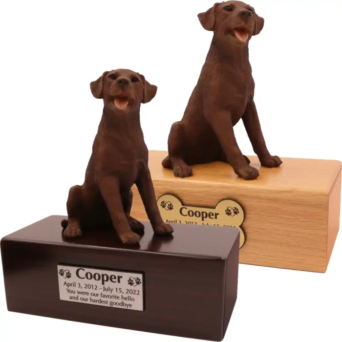 Budget dog figurine cremation urn, oak or walnut, with sitting Chocolate Labrador figurine, engraved acrylic plaque