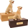 Budget dog figurine cremation urn, oak or walnut, with sitting yellow Labrador figurine, engraved brass plaque