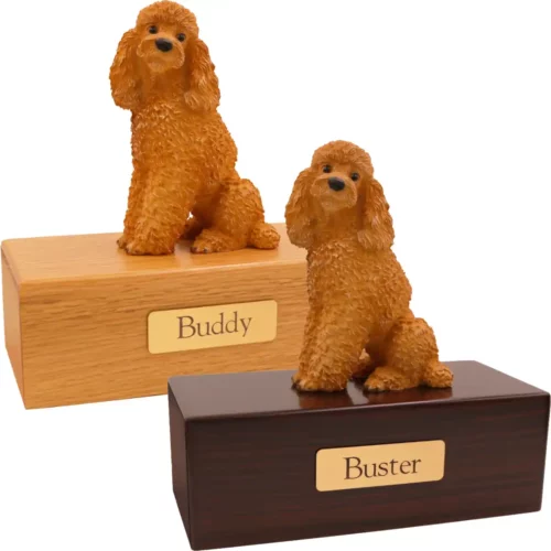 Budget dog figurine cremation urn, oak or walnut, with sitting apricot Poodle figurine, engraved brass plaque