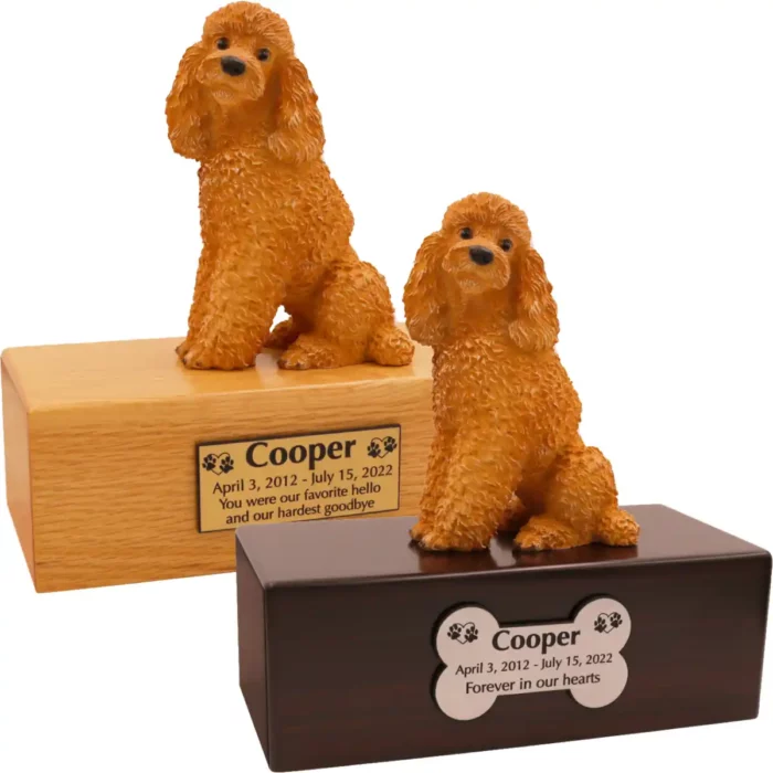 Budget dog figurine cremation urn, oak or walnut, with sitting apricot Poodle figurine, engraved acrylic plaque