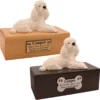 Budget dog figurine cremation urn, oak or walnut, with laying White Poodle figurine, engraved acrylic plaque