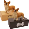 Budget dog figurine cremation urn, oak or walnut, with welsh corgi figurine, engraved acrylic plaque