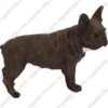 Standing French Bulldog Dog figurine for memorial urn, side