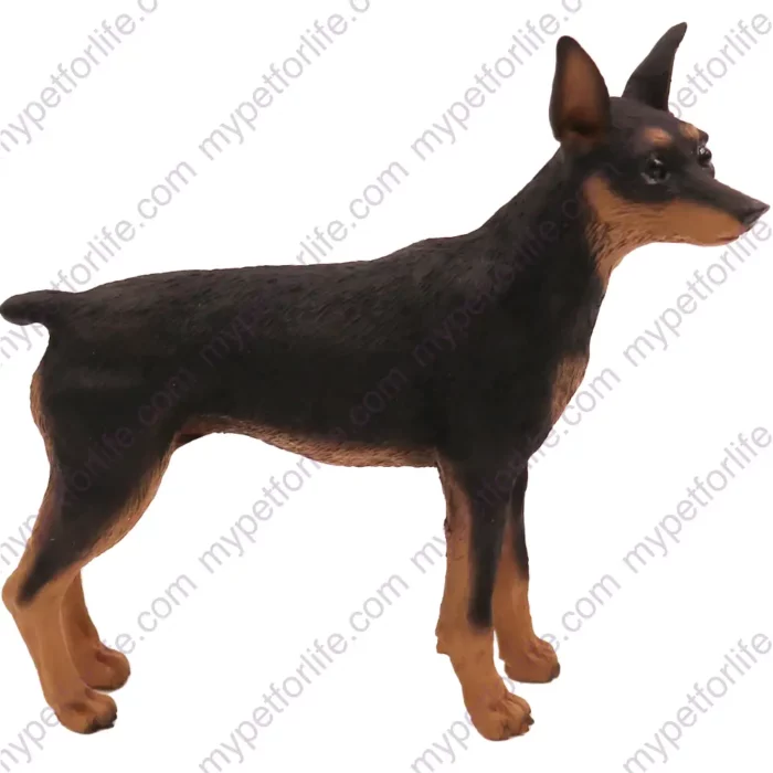 Black & Tan Miniature Pinscher dog figurine for memorial urn, side