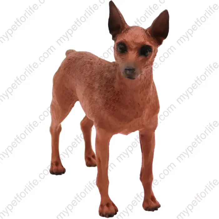 Red & Brown Miniature Pinscher dog figurine for memorial urn, front