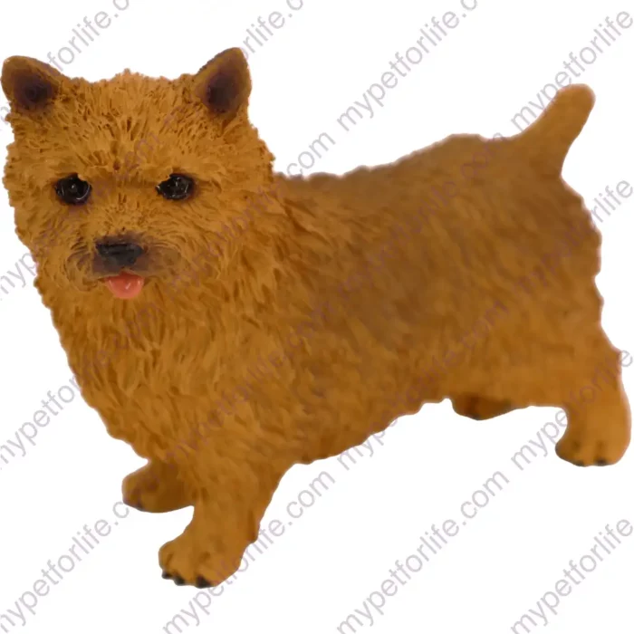 Standing Norwich Terrier dog figurine for memorial urn, front