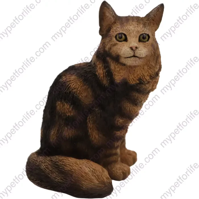 Brown Maine Coon tabby cat figurine for memorial urn, front