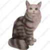 Silver Maine Coon tabby cat figurine for memorial urn, front