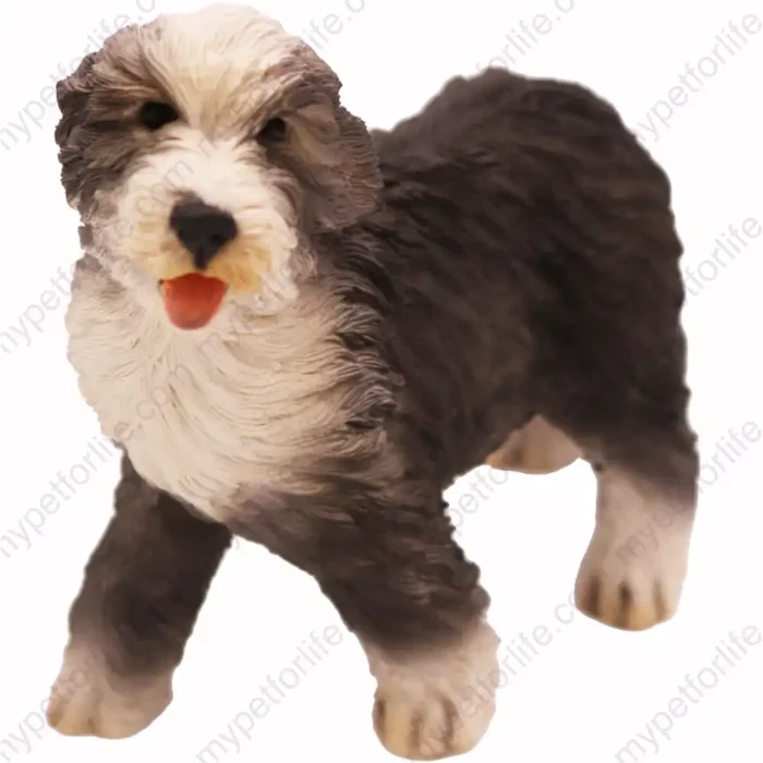 Bearded Collie, front, dog figurine for memorial urn