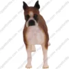 Brindle Ears Down Boxer dog figurine for memorial urn, front