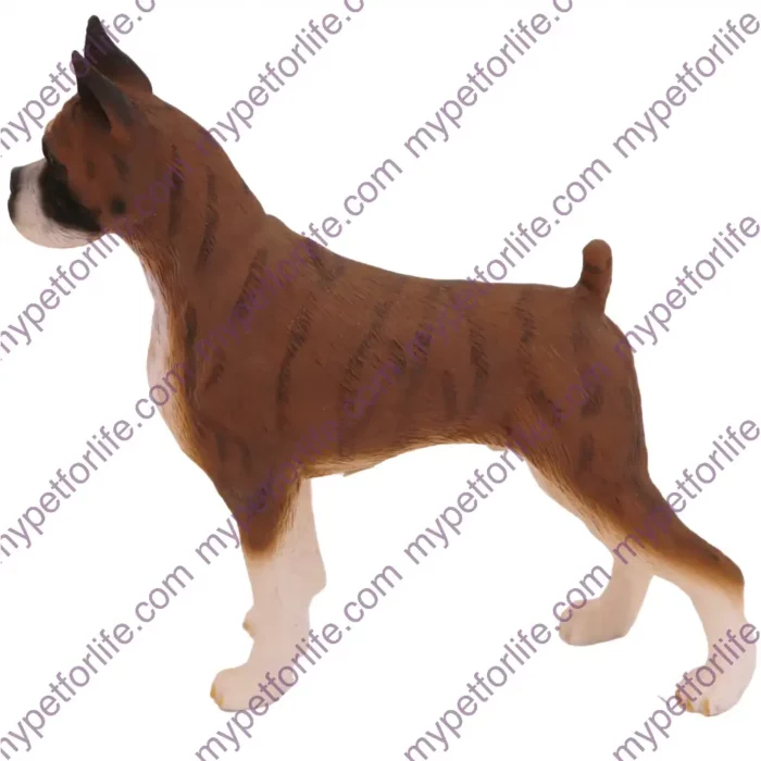 Brindle Ears Up Boxer dog figurine for memorial urn, side