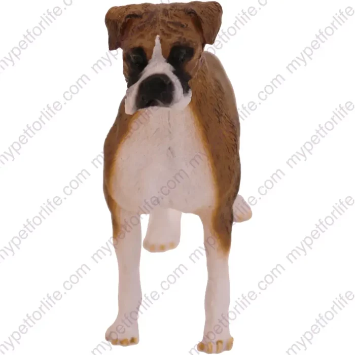 Brindle Boxer dog figurine for memorial urn, ears down, front