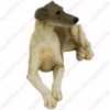 Laying greyhound dog figurine for memorial urn, front