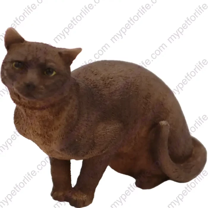 Burmese Himalayan cat figurine for memorial urn, front