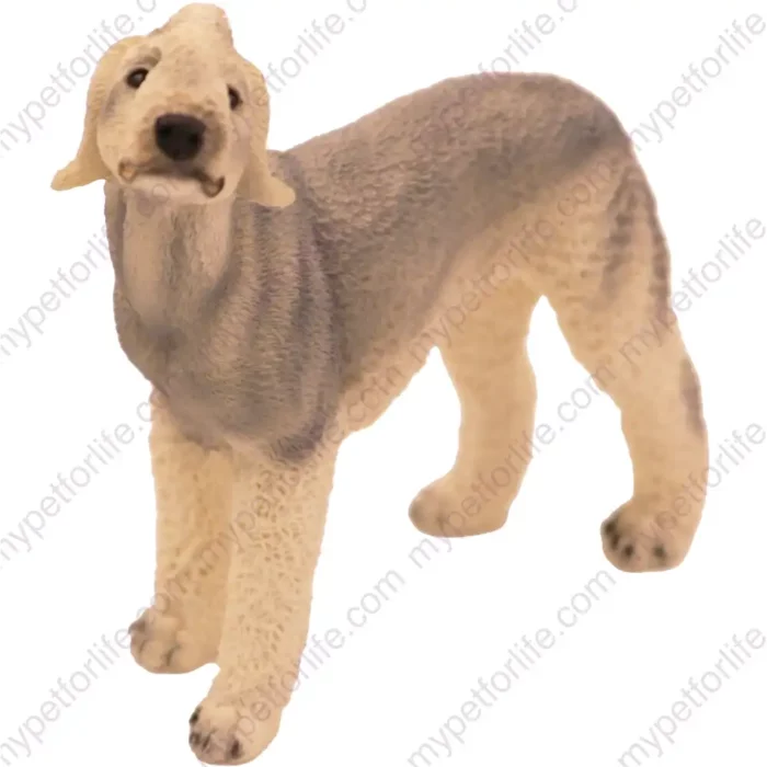 Standing Gray Bedlington Terrier dog figurine for memorial urn, front