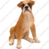 Sitting Boxer ears down dog figurine for memorial urn, front