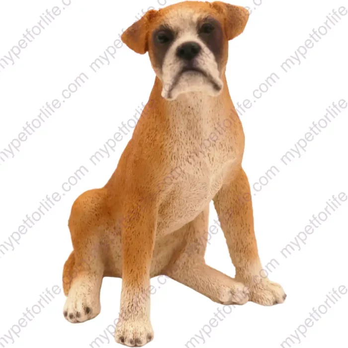 Sitting Boxer ears down dog figurine for memorial urn, front