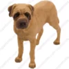 Standing Bull Mastiff dog figurine for memorial urn, front