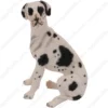 Harlequin Ears Down Great Dane dog figurine for memorial urn, front