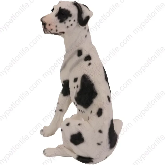 Harlequin Ears Down Great Dane dog figurine for memorial urn, side