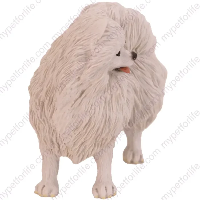 American Eskimo dog figurine for memorial urn, front