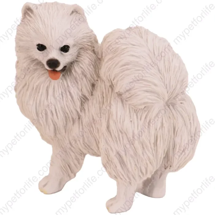 American Eskimo dog figurine for memorial urn, side