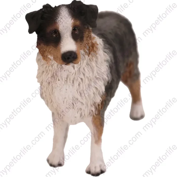 Blue Docked Australian Shepherd Dog figurine for memorial urn, front